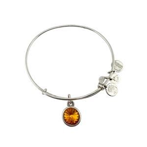 Alex and Ani November Birthstone Crystal Silver Tone Charm Bangle 7" Bracelet